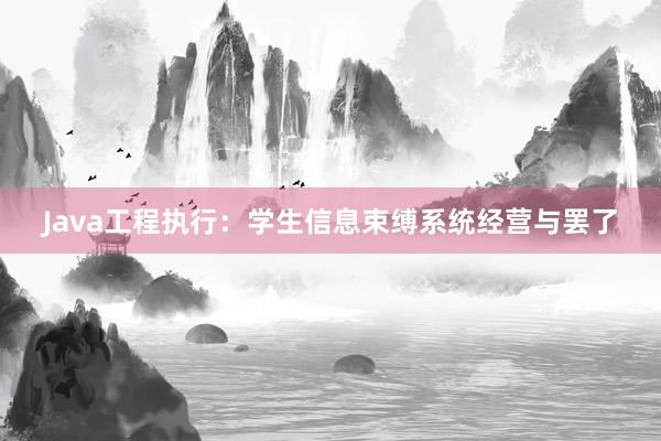 Java工程执行：学生信息束缚系统经营与罢了